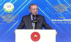 Cumhurbaşkanı Erdoğan: Karadeniz gazı mart sonu hanelere verilecek