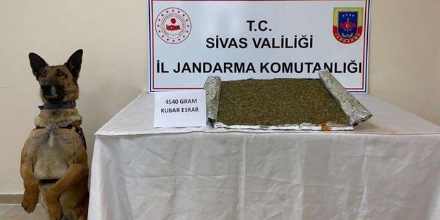 Sivas'ta valizinde 4,5 kilogram esrar ele geçirilen şüpheli yakalandı