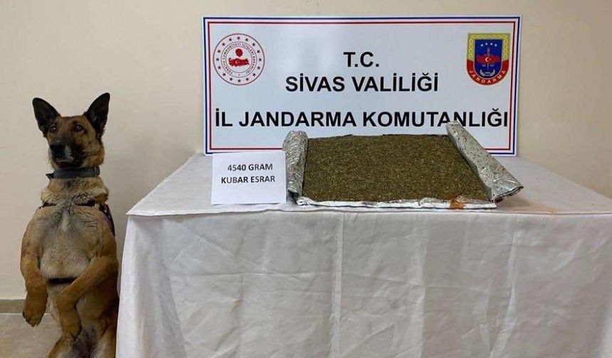 Sivas'ta valizinde 4,5 kilogram esrar ele geçirilen şüpheli yakalandı